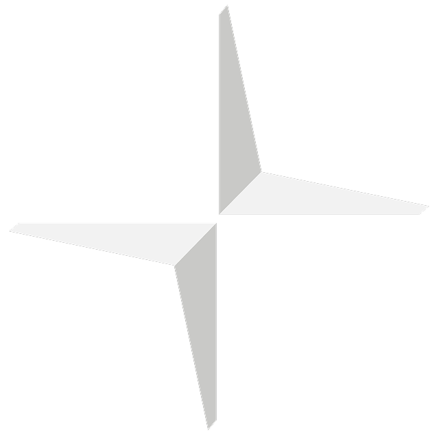 Polestar logo