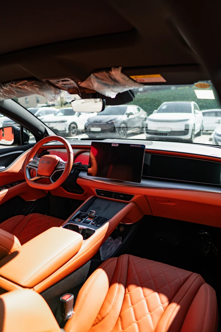 BYD Sea Lion 06 фото 3