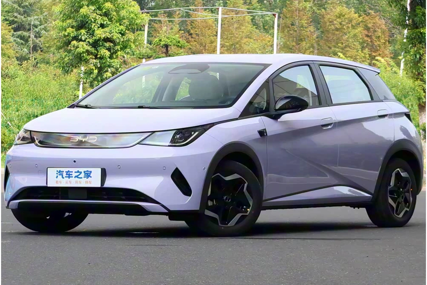 BYD Dolphin Fashion Version