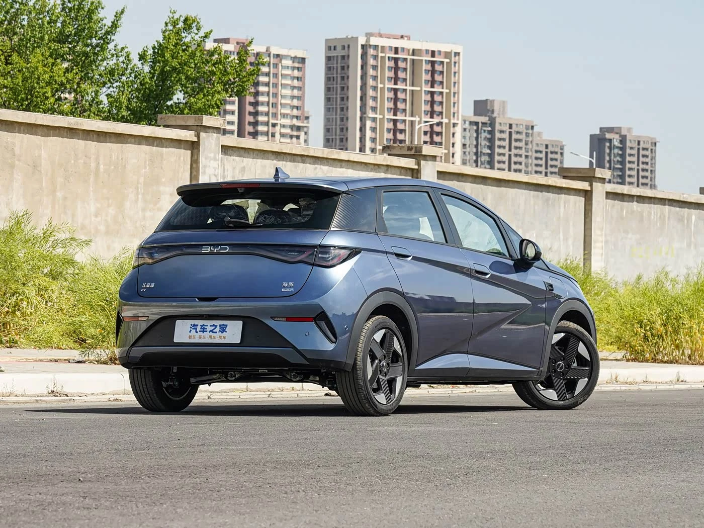 BYD Dolphin Knight Edition фото 2