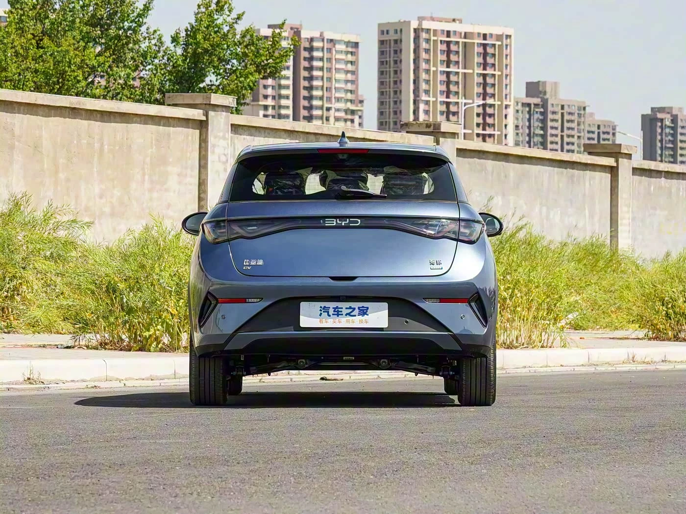 BYD Dolphin Knight Edition фото 3