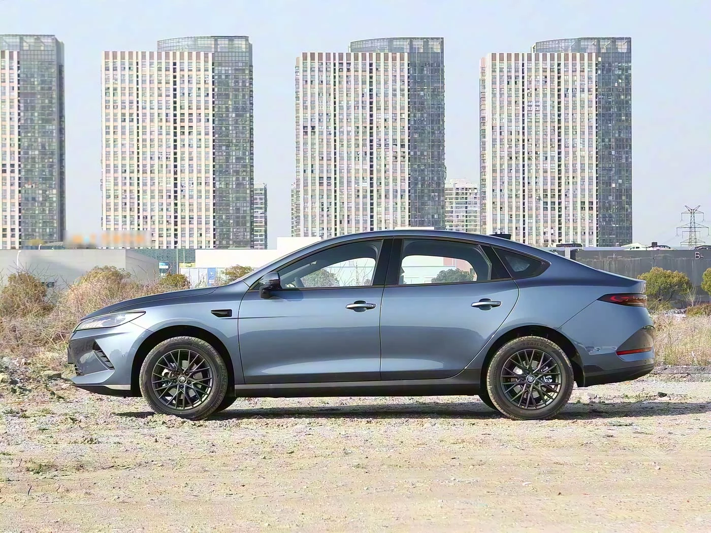 Byd Qin Plus 420КМ Leading фото 2