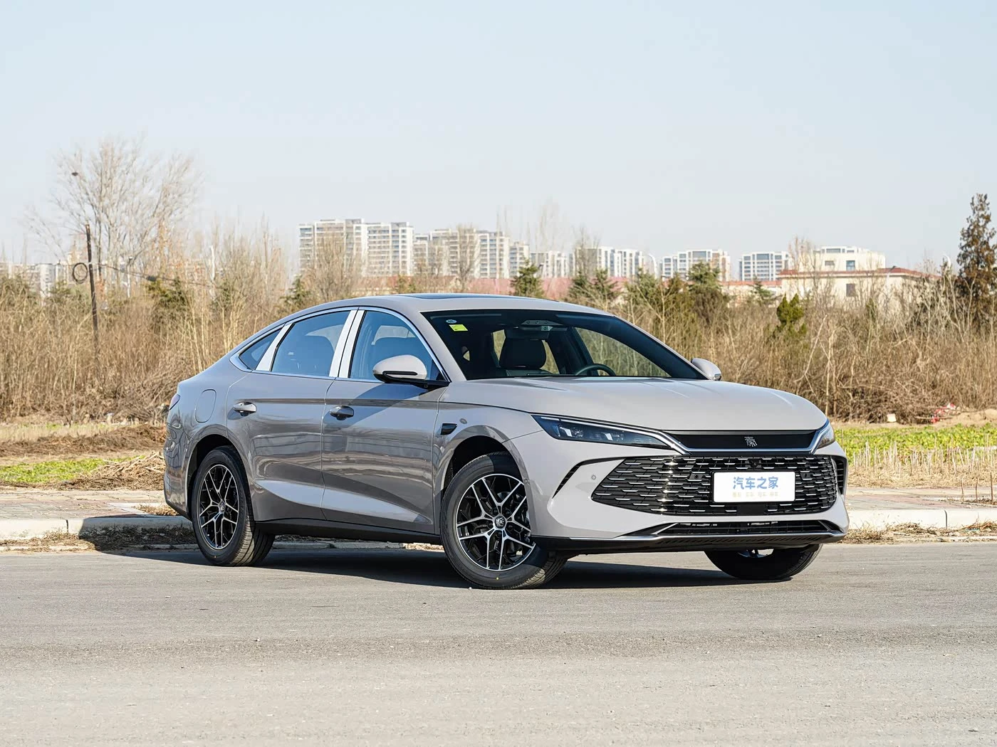 byd qin l DM-i 210km Superior фото 1