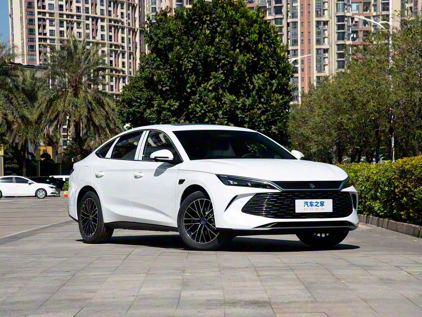 byd qin l DM-i 210km Cloud Chariot фото 1