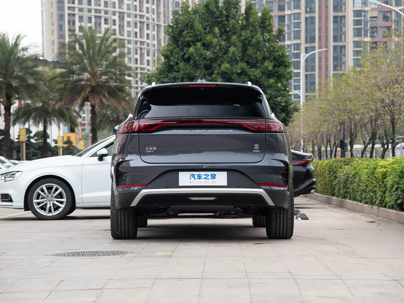 BYD Tang New Energy 2025 DM-i 115KM Smart driving Premium фото 3