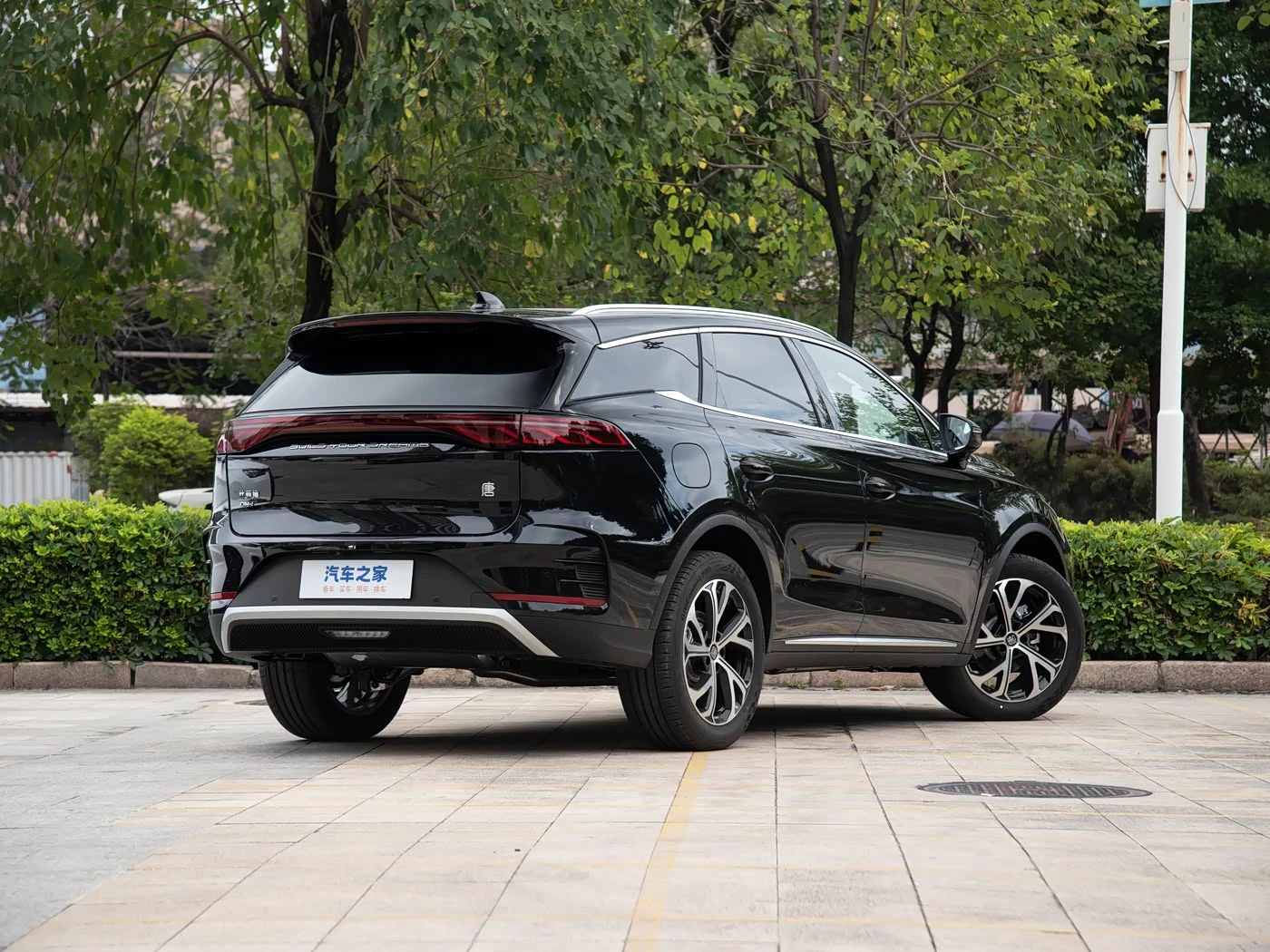 BYD Tang New Energy 2025 DM-i 115KM Flagship Edition фото 2