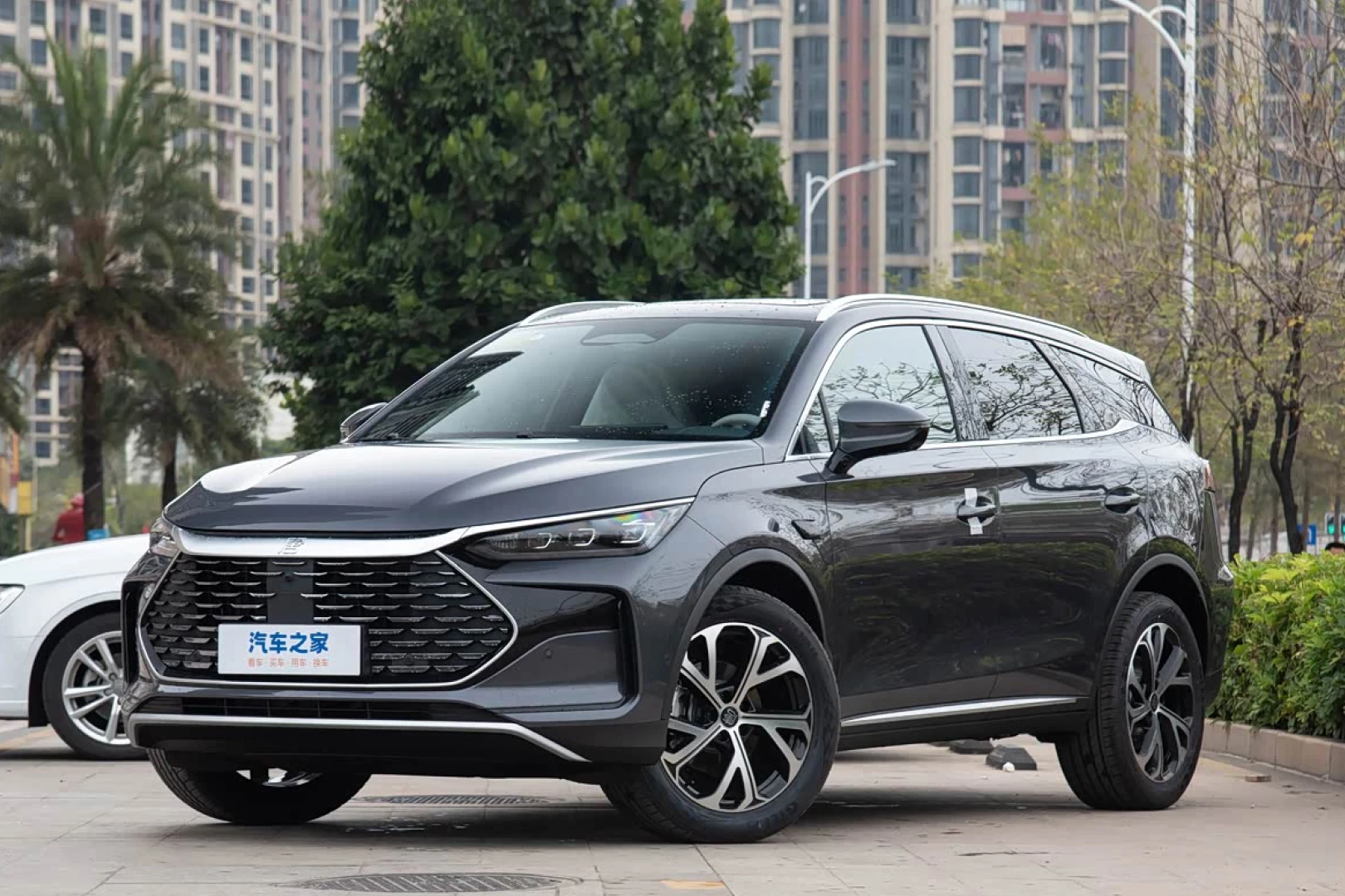 BYD Tang New Energy 2025 DM-i 115KM Smart driving Premium