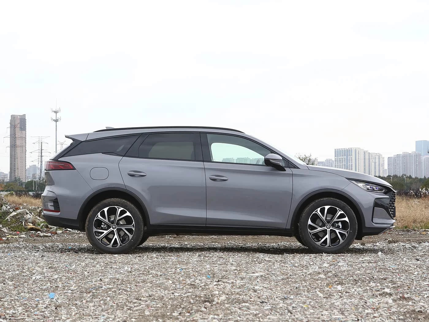 BYD Tang New Energy 2025 DM-i 115KM Premium Edition фото 1