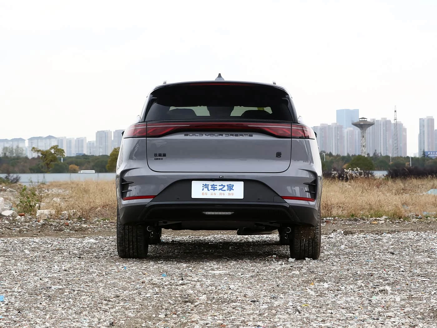 BYD Tang New Energy 2025 DM-i 115KM Premium Edition фото 3