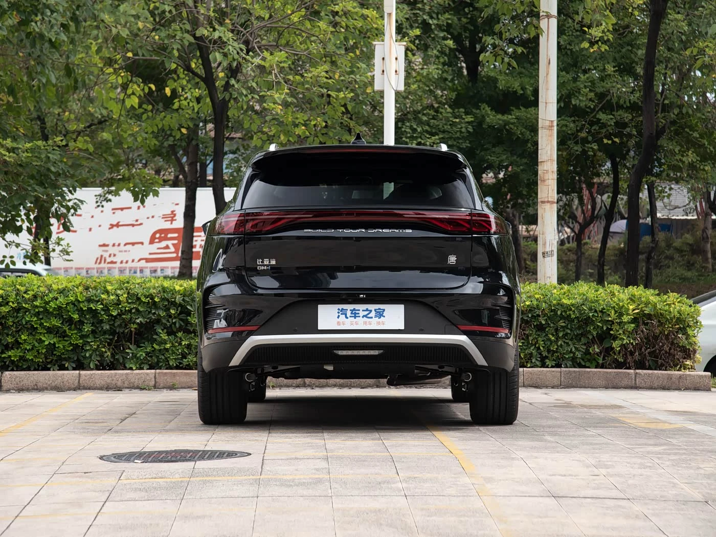 BYD Tang New Energy 2025 DM-i 115KM Flagship Edition фото 3