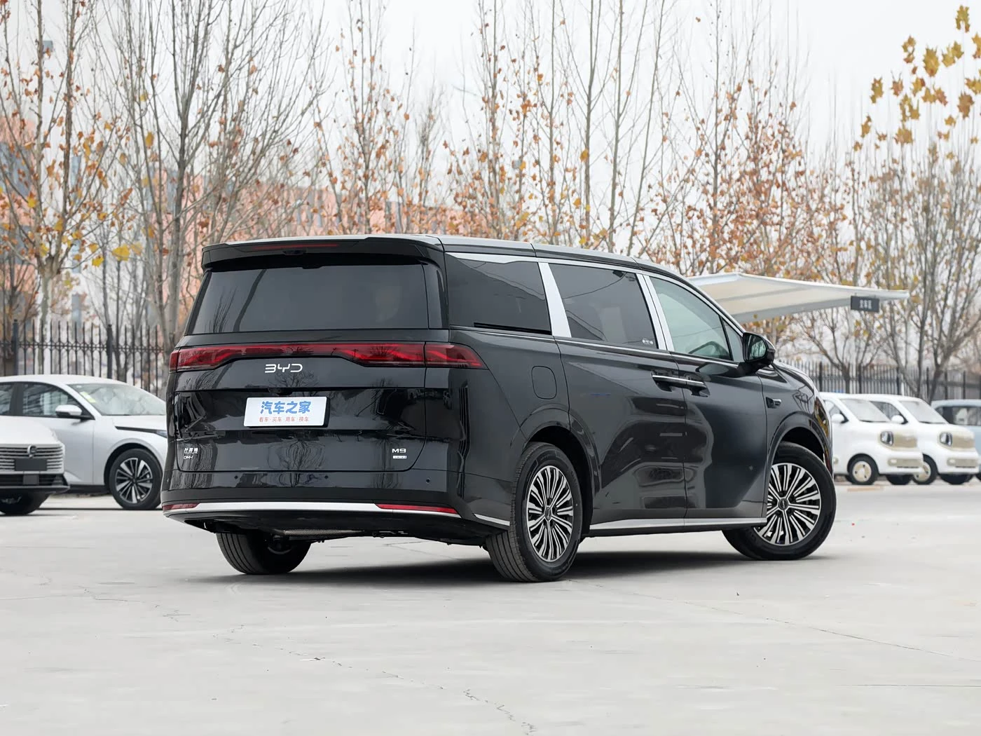 BYD m9 1060 Navigator Pro фото 2