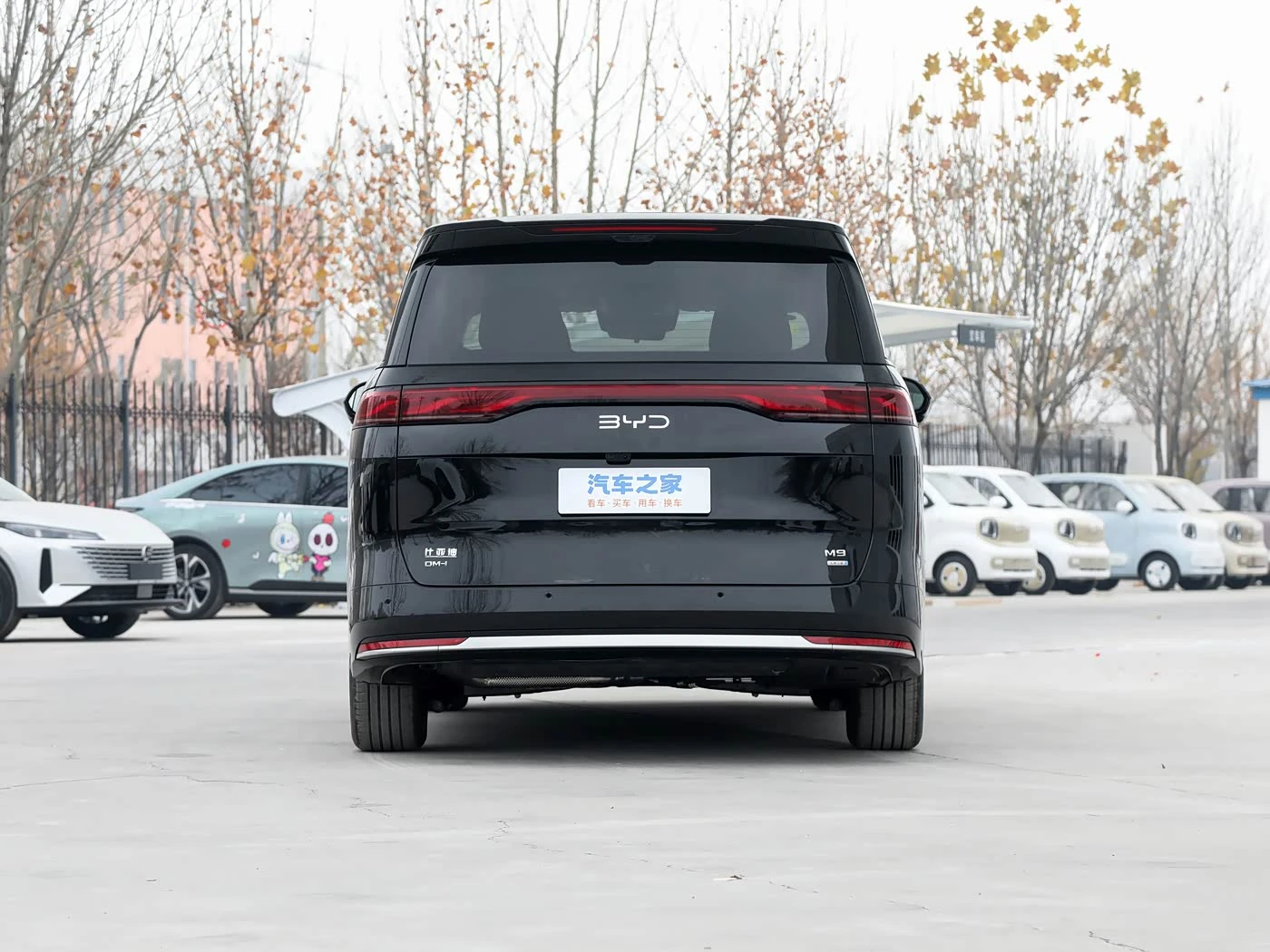 BYD m9 1060 Navigator Pro фото 3