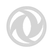 DongFeng logo